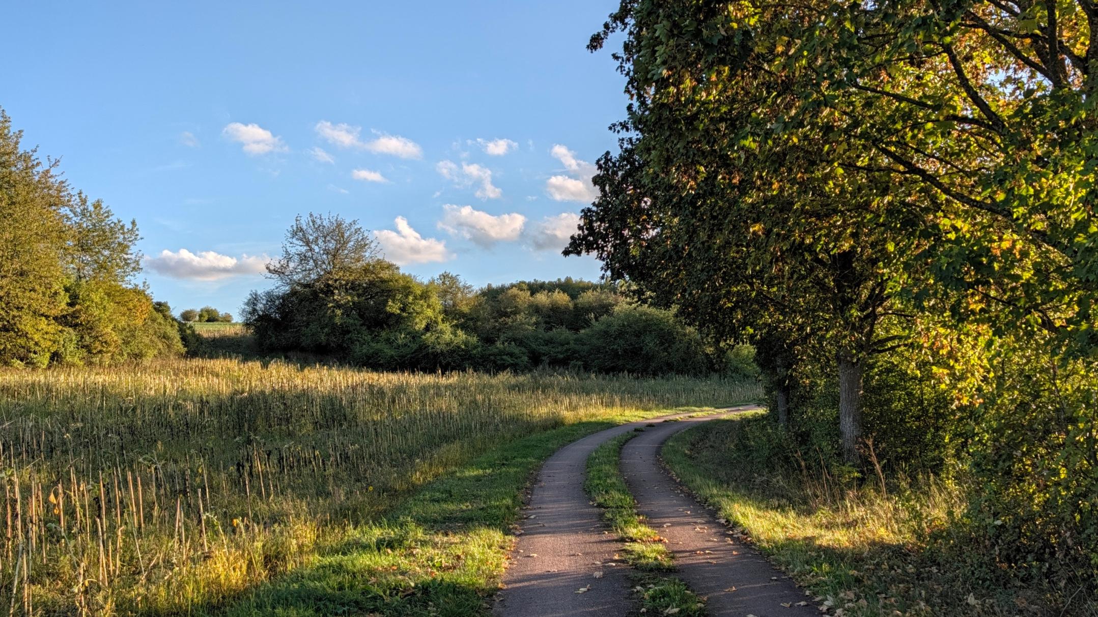 Ein langer Weg in der Natur vorbei an Bäumen und Wiesen